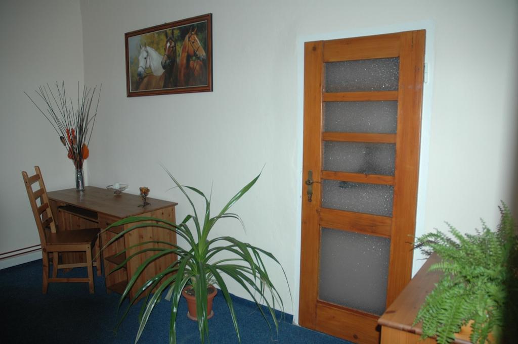Hotel Mrazek Pardubice Rum bild